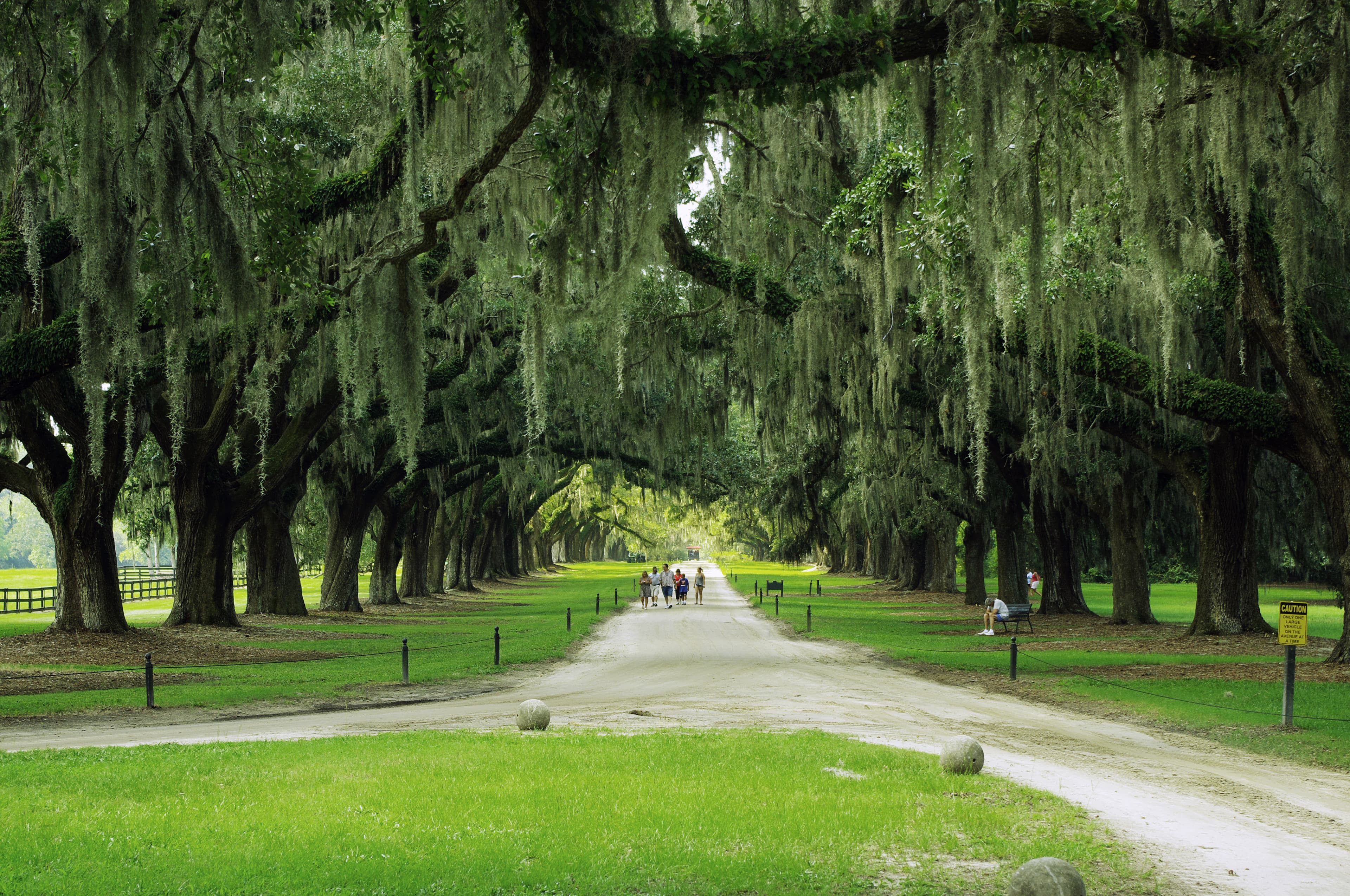 Mount Pleasant — Lowcountry real estate